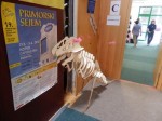 Primorski sejem 2012 - galerija