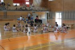 Sončkov Pokal 2011