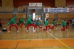 Sončkov Pokal 2011
